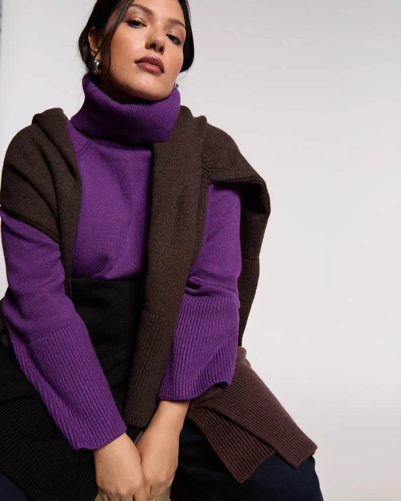 Better-Than-Wool Oversize Turtleneck Sweater - Grape