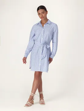 Keegan Mini Shirt Dress