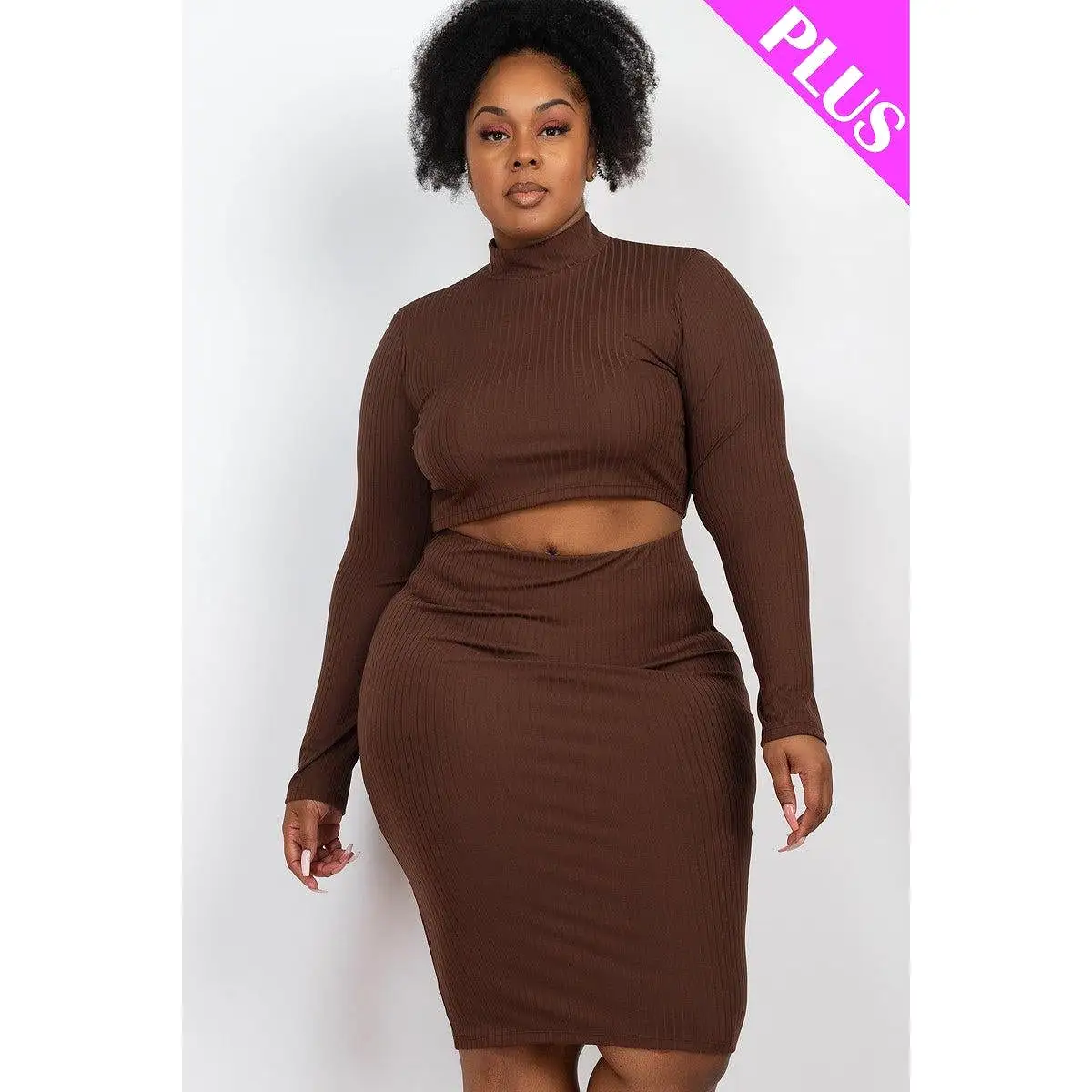 Plus Size Ribbed Mock Neck Crop Top & Midi Skirt Set