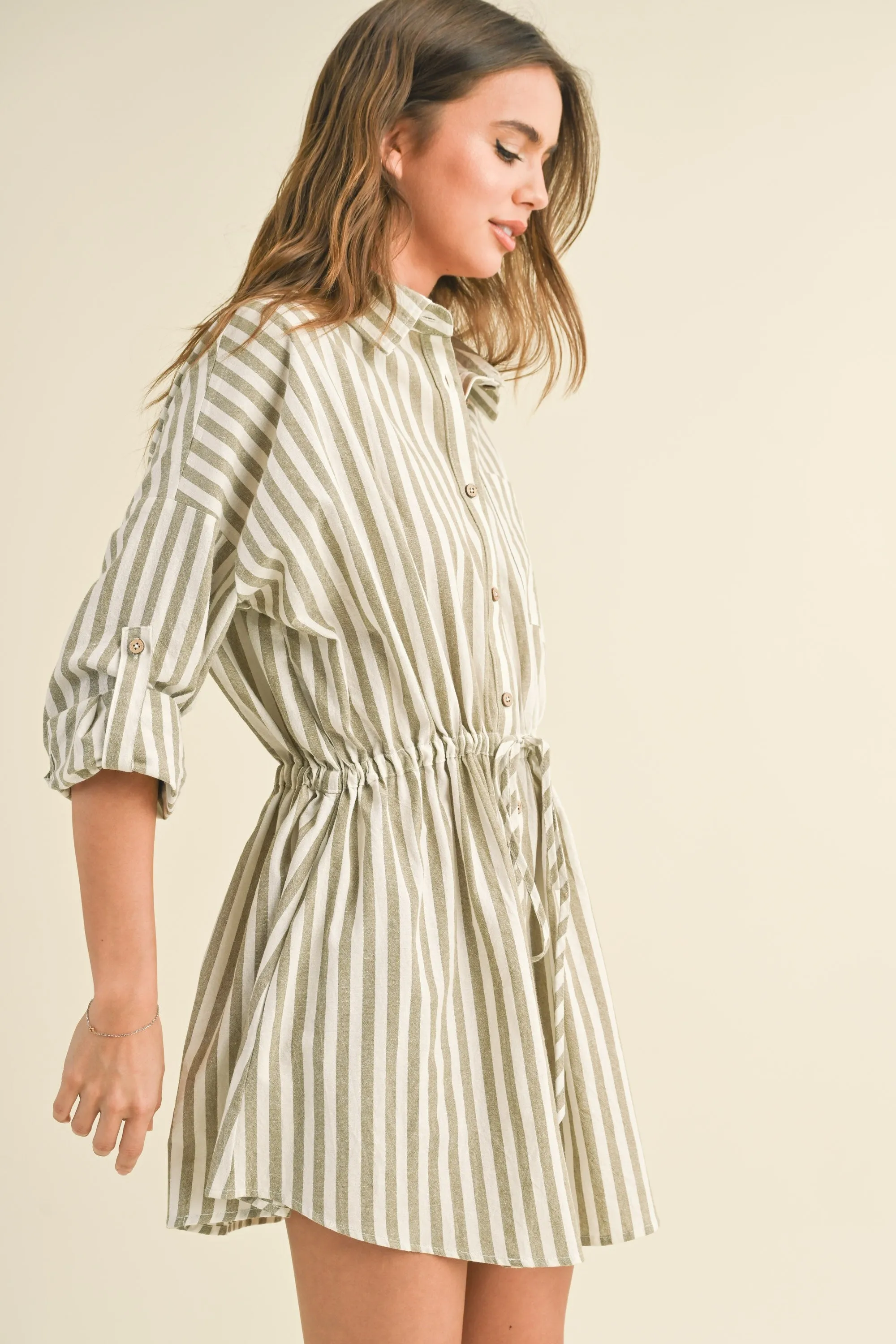 Taylor Striped Shirt Dress